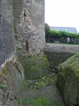 24196 Moat of Ferns Castle.jpg
